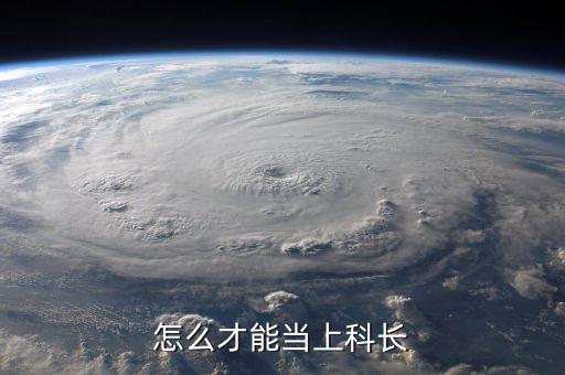 淺談如何當好稅政科長，怎樣當好科長