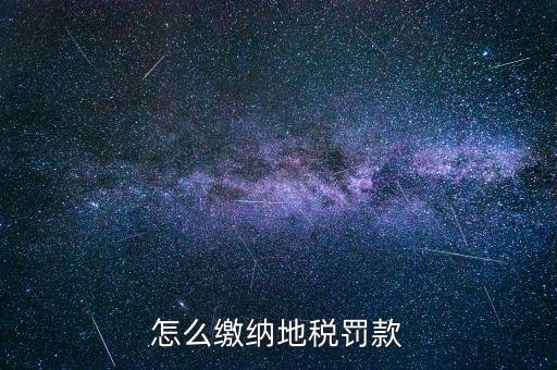 納稅行政處罰如何辦理，稅收行政處罰簡(jiǎn)易程序適用條件是什么