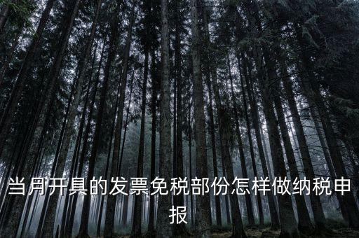 免稅和納稅如何申報(bào)，當(dāng)月開具的發(fā)票免稅部份怎樣做納稅申報(bào)