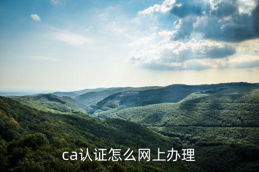 四川網(wǎng)上稅務(wù)如何ca登錄，ca證書如何登錄國稅