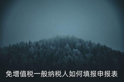 免稅如何填寫申報表，免稅企業(yè)如何填報增值稅納稅申報表