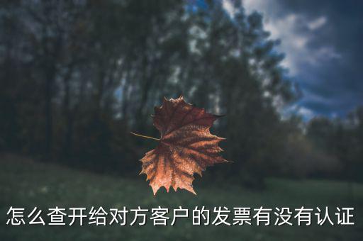 如何查詢未認(rèn)證的發(fā)票嗎，如何查詢開給對方的發(fā)票有沒有認(rèn)證