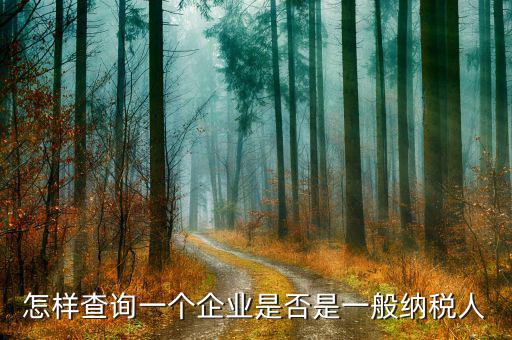 遼寧如何查一般納稅人，怎樣查詢一個(gè)企業(yè)是否是一般納稅人