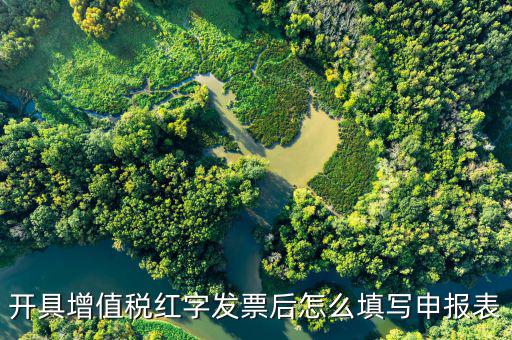 開(kāi)具增值稅紅字發(fā)票后怎么填寫申報(bào)表