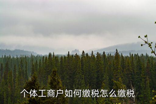 福建企業(yè)如何繳稅，企業(yè)所得稅是多少