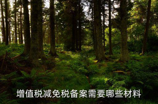 如何辦理納稅人減免稅備案登記，增值稅減免稅備案需要哪些材料
