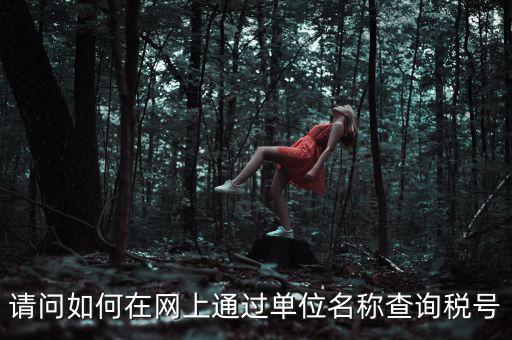 如何通過(guò)公司名稱(chēng)查稅號(hào)，知道公司名字怎么查稅號(hào)嗎
