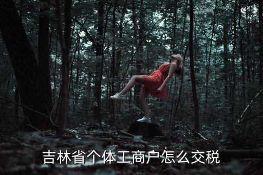 吉林個(gè)人所得稅如何申報(bào)，個(gè)人所得稅申報(bào)問題吉林省