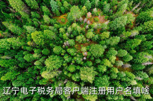如何注冊社保電子稅務(wù)局賬號，遼寧電子稅務(wù)局客戶端注冊用戶名填啥