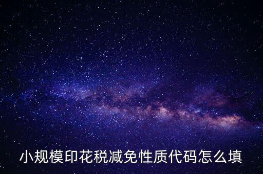 印花稅減免額 如何填寫，六稅兩費印花稅減半怎么申報