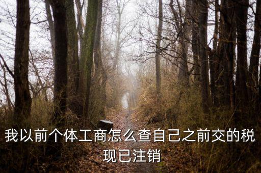 如何查詢稅務(wù)注銷，我以前個體工商怎么查自己之前交的稅 現(xiàn)已注銷