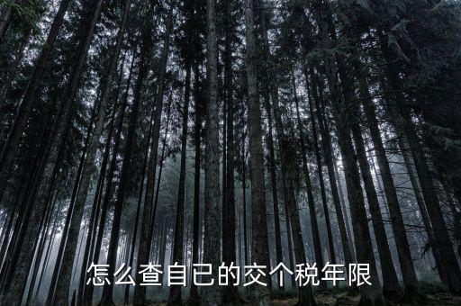 如何查詢納稅期限，怎么查自已的交個稅年限