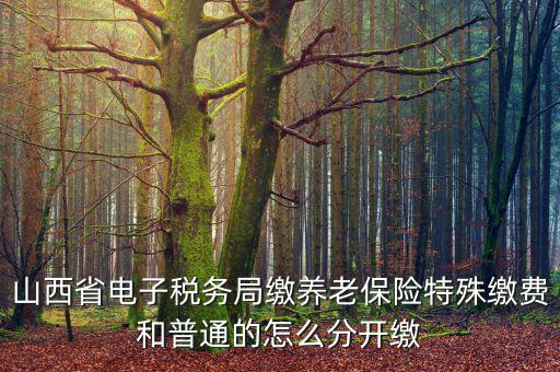 山西養(yǎng)老保險(xiǎn)如何和國(guó)稅局對(duì)接，交養(yǎng)老保險(xiǎn)交到國(guó)家稅務(wù)總局怎么辦