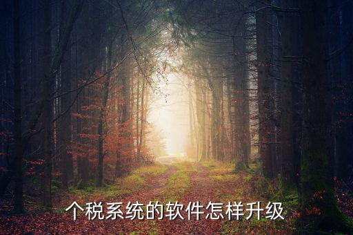個(gè)稅系統(tǒng)的軟件怎樣升級