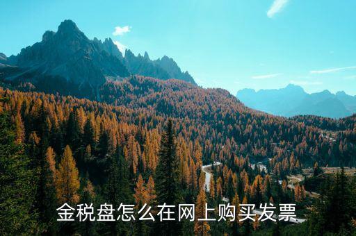 金稅盤如何網(wǎng)上購票，金稅盤領(lǐng)購發(fā)票的流程