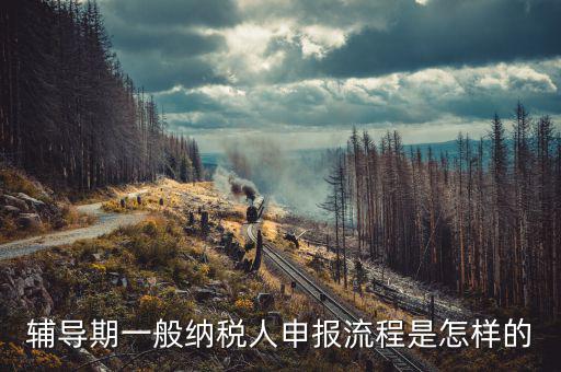 單位培訓如何為授課人報稅，輔導期的報稅具體流程是怎么樣