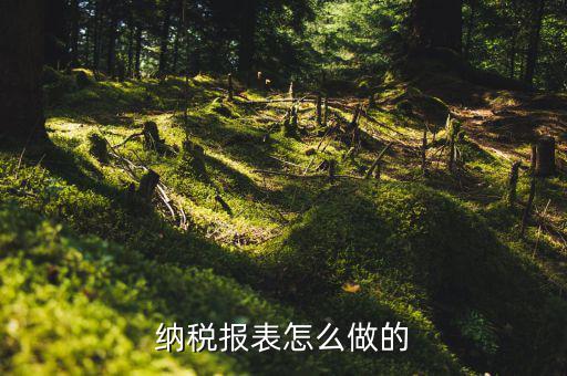 如何做數(shù)據(jù)報稅，在開普票里每月1號申報數(shù)據(jù)具體怎么弄的先點擊報稅再點