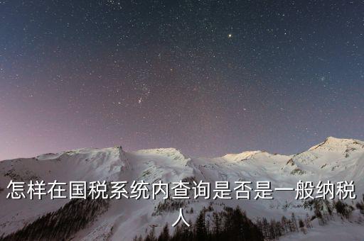 怎樣在國稅系統(tǒng)內查詢是否是一般納稅人