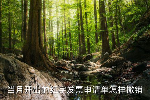 如何撤銷紅字發(fā)票申請(qǐng)書，紅字申請(qǐng)單如何作廢