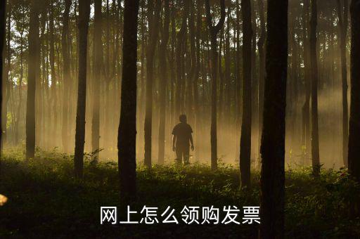 網上怎么領購發(fā)票