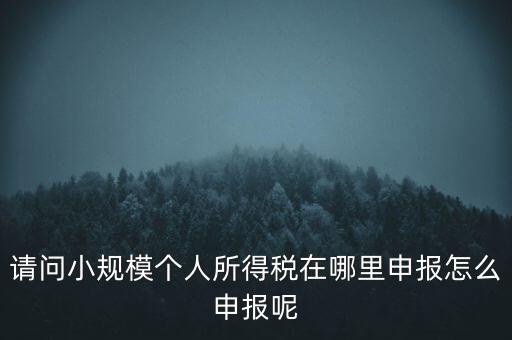 如何申報自然人兩處所得，請問小規(guī)模個人所得稅在哪里申報怎么申報呢