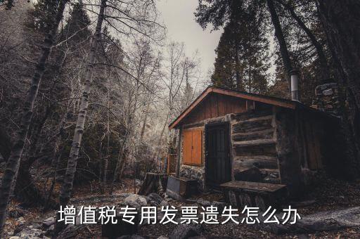丟失專用發(fā)票如何，丟失空白增值稅專用發(fā)票如何處理