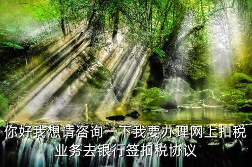 如何辦理稅庫銀，去稅務(wù)局辦理稅控盤需要什么資料流程怎么走呢