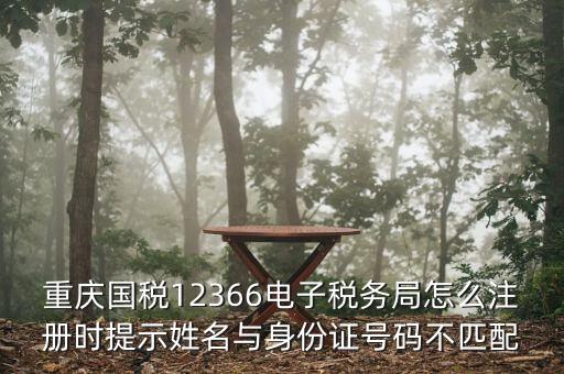 如何注冊(cè)重慶電子稅務(wù)登記證，重慶九龍坡新辦企業(yè)到地稅辦理電子稅務(wù)局要那些資料