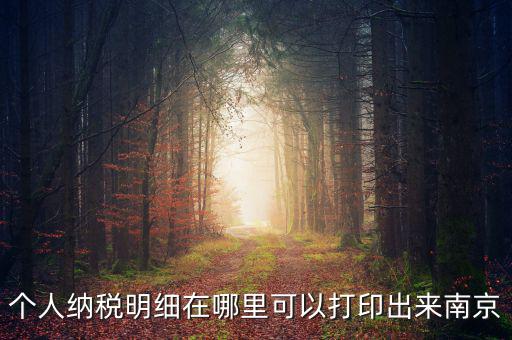 如何打印個(gè)稅明細(xì)，個(gè)人納稅明細(xì)在哪里可以打印出來(lái)南京