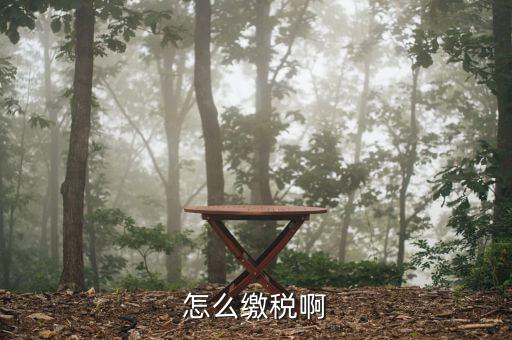 欠稅如何繳納，怎么繳稅啊