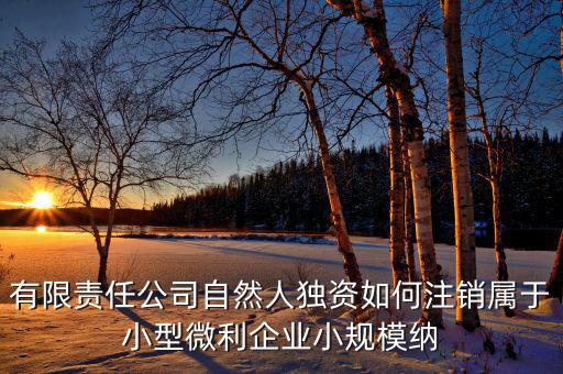 如何注銷小微企業(yè)所得稅，小微企業(yè)工商稅務(wù)注銷手續(xù)