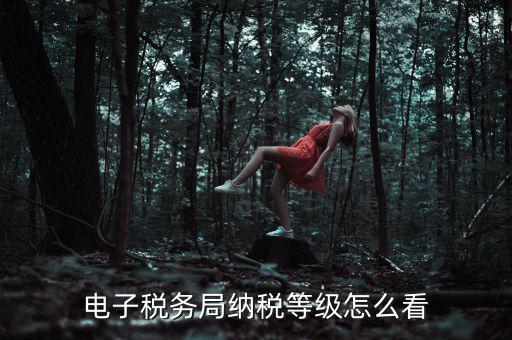 如何查詢納稅人納稅等級，電子稅務(wù)局納稅等級怎么看