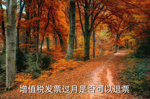 發(fā)票查驗(yàn)后如何退票，已經(jīng)驗(yàn)證的發(fā)票可以退票嗎