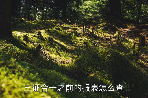 如何查三證合一之前的國稅數(shù)據(jù)，三證合一之前的報表怎么查