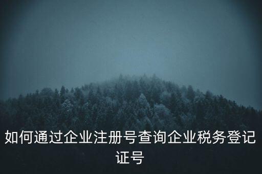 如何查詢公司稅務(wù)編號(hào)查詢系統(tǒng)，公司的稅務(wù)登記證號(hào)怎么查詢