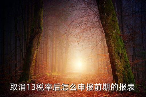 取消13稅率申報表如何填，13的稅率沒了納稅申報以后怎么辦