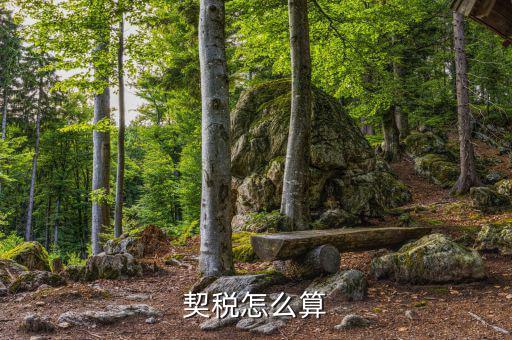 企業(yè)合并契稅如何計(jì)算，求高手解答如何計(jì)算企業(yè)應(yīng)繳納契稅并進(jìn)行契稅的會(huì)計(jì)處理