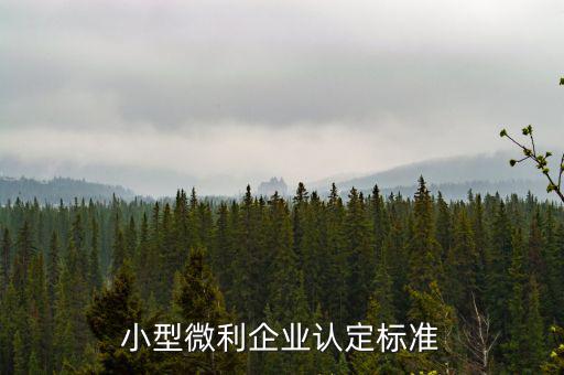 如何確定是小微企業(yè)，小型微利企業(yè)認(rèn)定標(biāo)準(zhǔn)