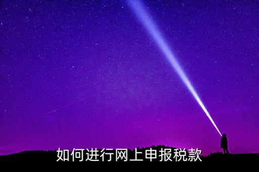 稅務(wù)如何在線申報，如何網(wǎng)上稅務(wù)申報