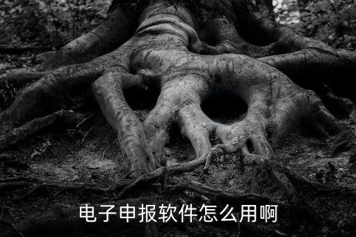 濟(jì)南電子稅務(wù)如何使用，網(wǎng)上辦稅平臺手機app怎么操作