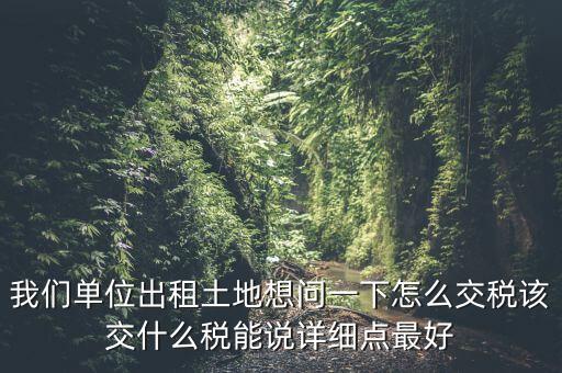 土地出租如何征稅，我們單位出租土地想問一下怎么交稅該交什么稅能說詳細點最好