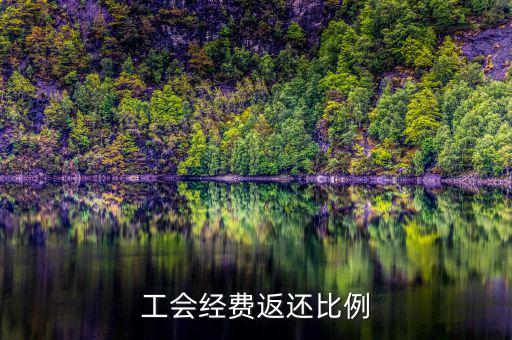 稅務局代收工會經(jīng)費如何返還，工會經(jīng)費交稅務局怎么返還