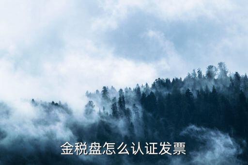 如何用金稅盤認(rèn)證發(fā)票，金稅盤怎么認(rèn)證發(fā)票