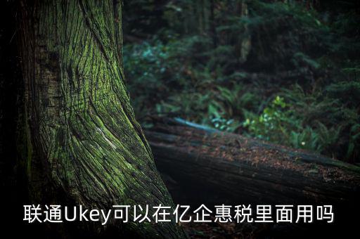 億企惠稅如何填報，聯(lián)通硬證書里面還贈送的其他產(chǎn)品是什么怎么用