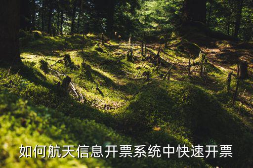 航天信息如何開票，怎么在航天信息開票軟件開紅字發(fā)票