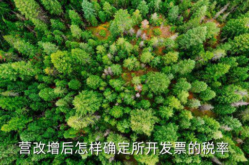 開票時稅率如何確認，發(fā)票的稅是怎么算的是不是數(shù)額越大要繳稅的百分比就越大比