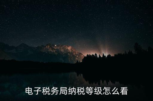 a級納稅人如何查詢，電子稅務(wù)局納稅等級怎么看