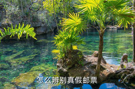 如何查油票的真?zhèn)?，到底怎樣才能辨別鑒定郵票的真假呢