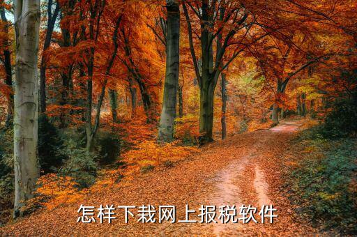 如何下載報稅軟件下載，怎么下載地稅納稅申報軟件