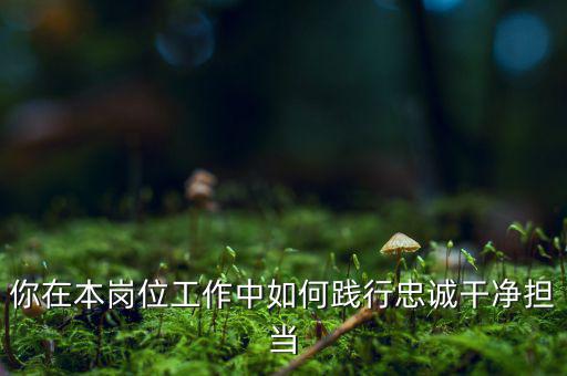 稅務(wù)干部如何講忠誠，如何做對黨忠誠個人干凈敢于的好干部